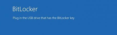 插入含有BitLocker密鑰的USB隨身碟