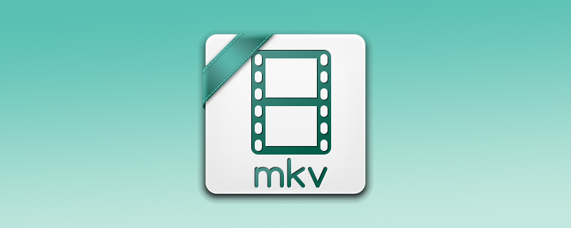 mkv字幕