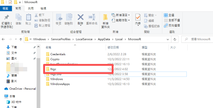Windows 中的 ngc 資料夾